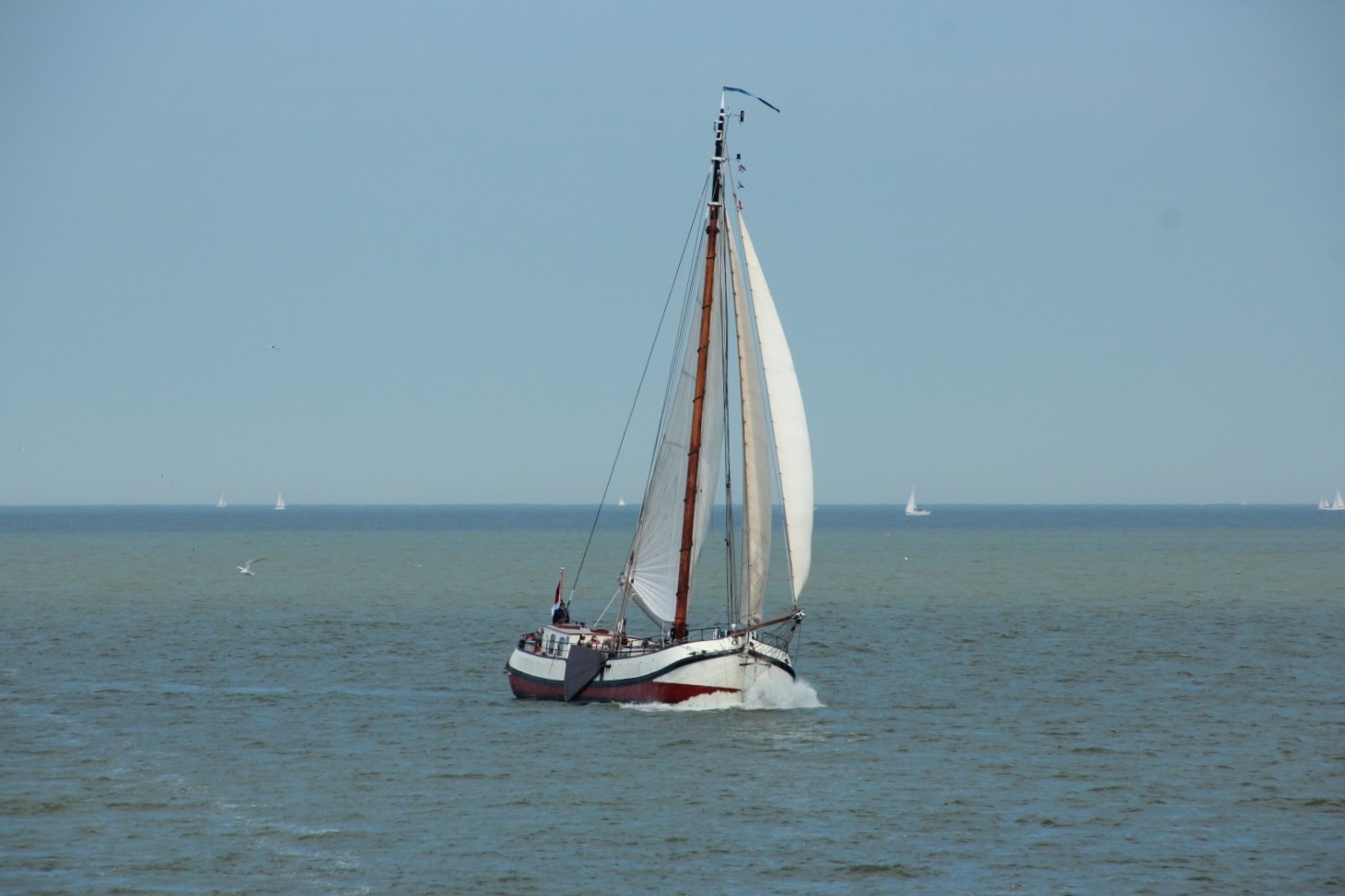 Zeilvakantie IJsselmeer Eendracht